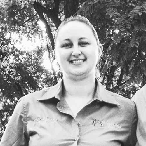 Master Beekeeping eCornell