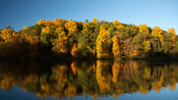 Background image: Beebe Lake in Autumn