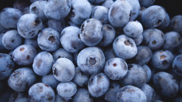 Background image: Blueberries