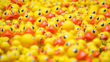 Background image: Rubber Duckies