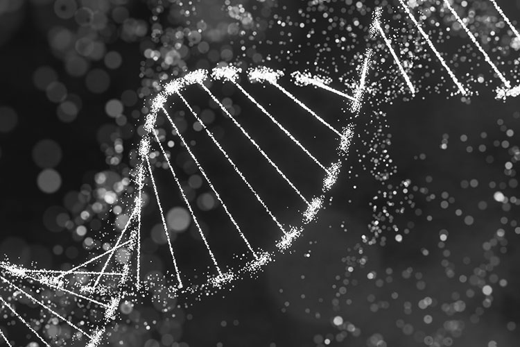 Learn more about our Precision Nutrition and AI certificate