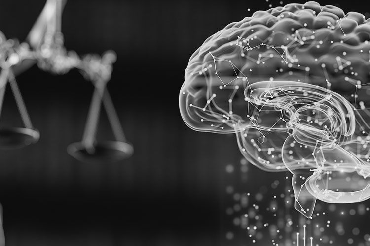 Learn more about our AI Law and Policy certificate